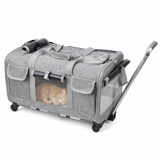 Sac de transport pour chat à roulettes – style valise, pratique