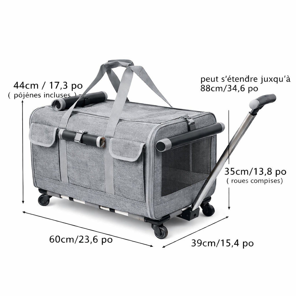 Sac de transport pour chat à roulettes – style valise, pratique