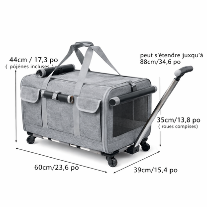 Sac de transport pour chat à roulettes – style valise, pratique