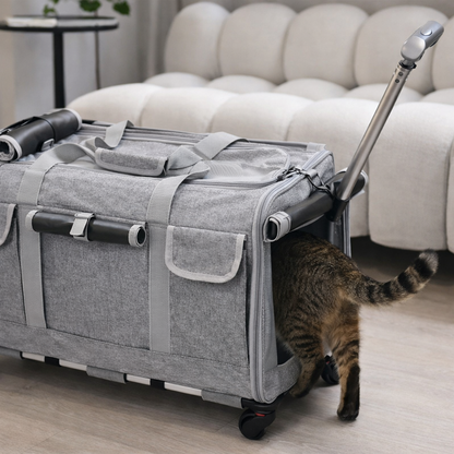 Sac de transport pour chat à roulettes – style valise, pratique