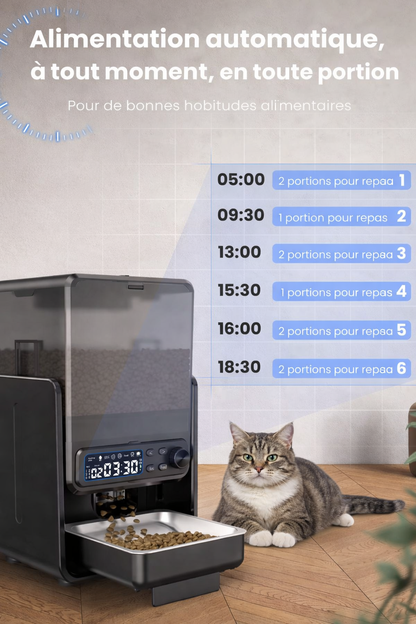 Distributeur automatique de croquettes double – programmation manuelle | Elégance Féline